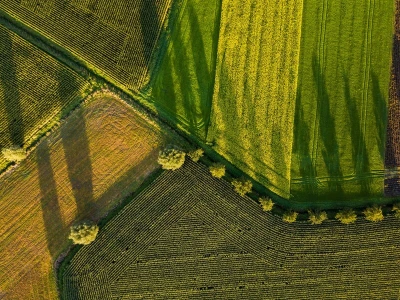 Agrishow 2024 de 29 abril a 03 de maio em Ribeirão Preto - SP