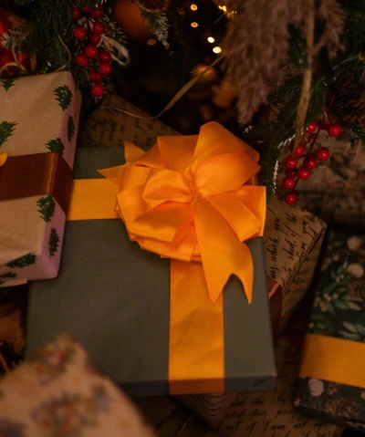 Celebre a Magia do Natal com a Transfer!